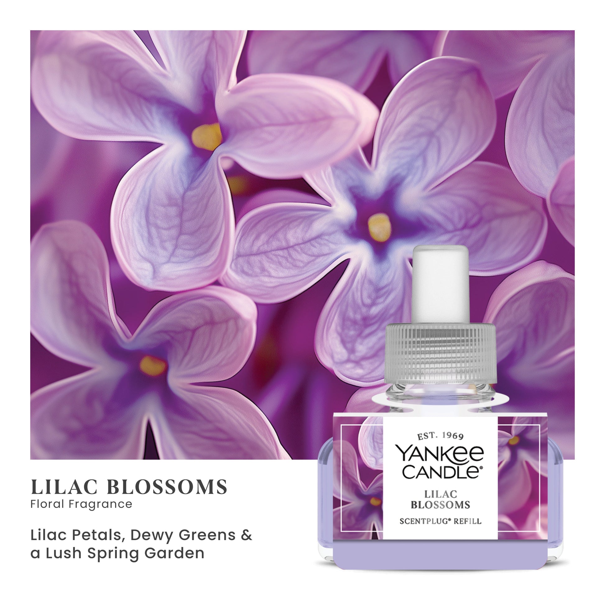 Lilac Blossoms