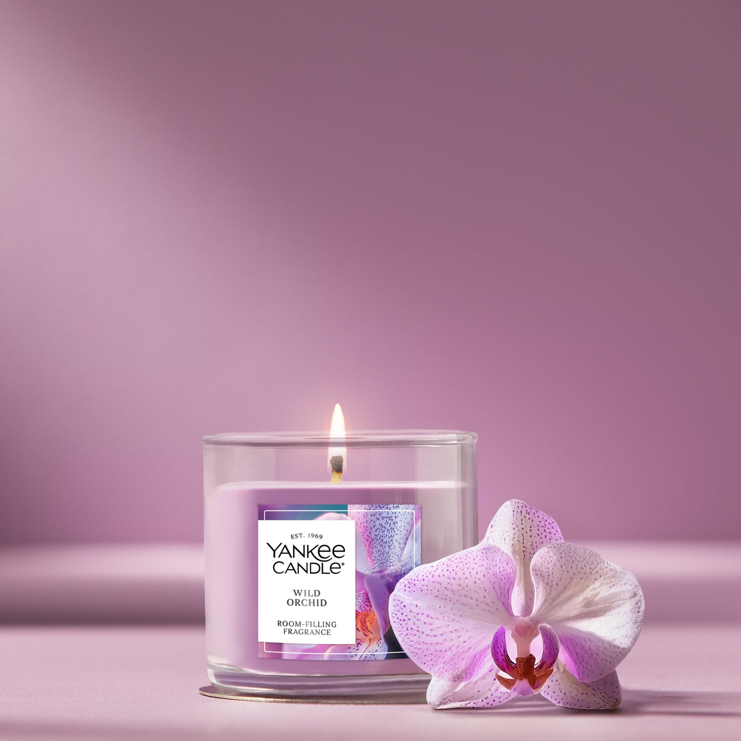 Wild Orchid