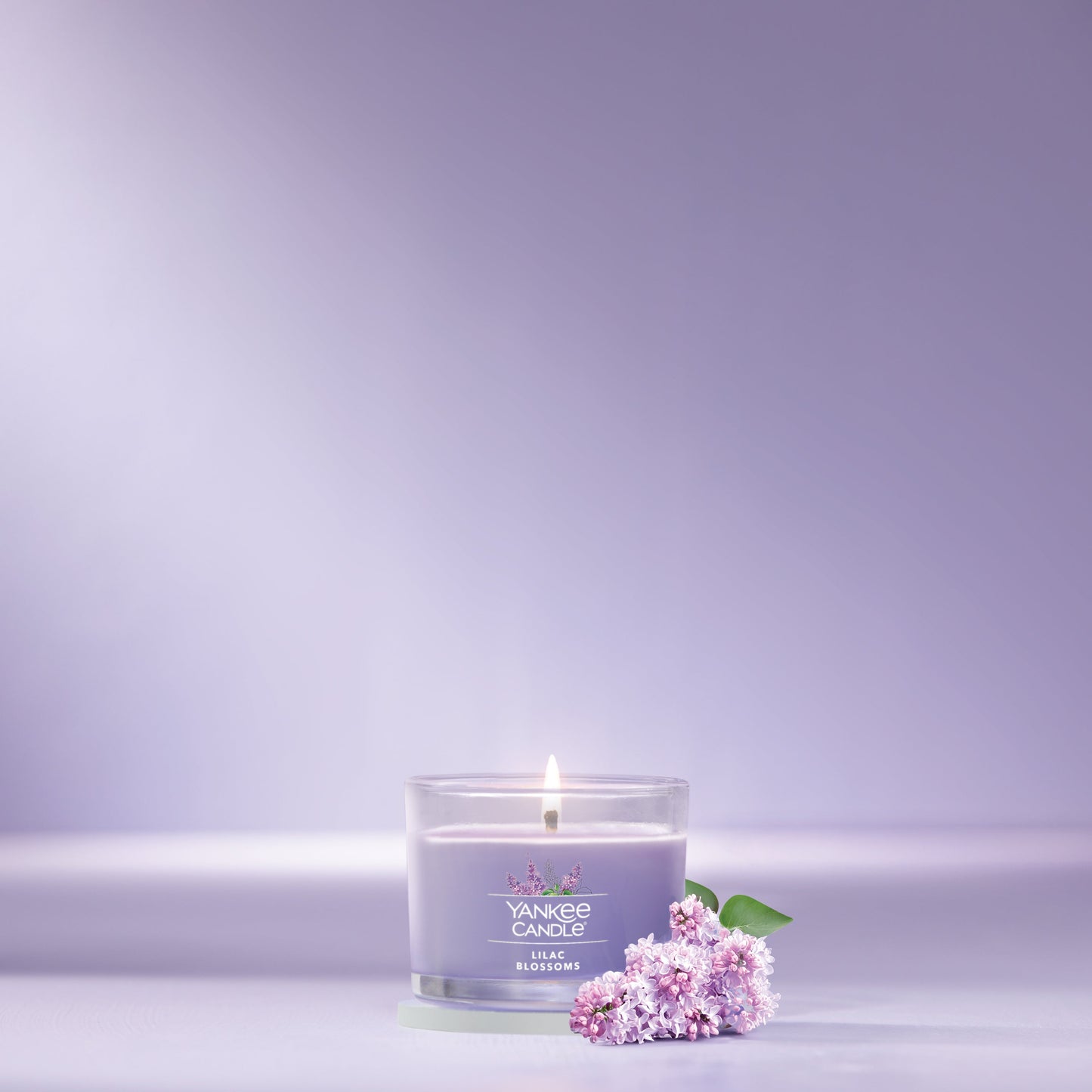 Lilac Blossoms