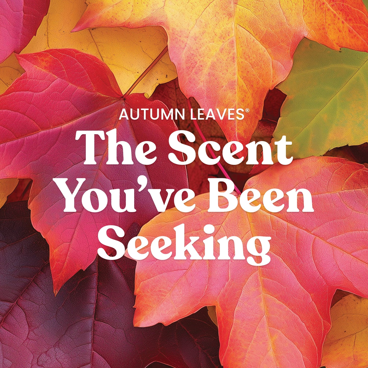 Autumn Leaves®