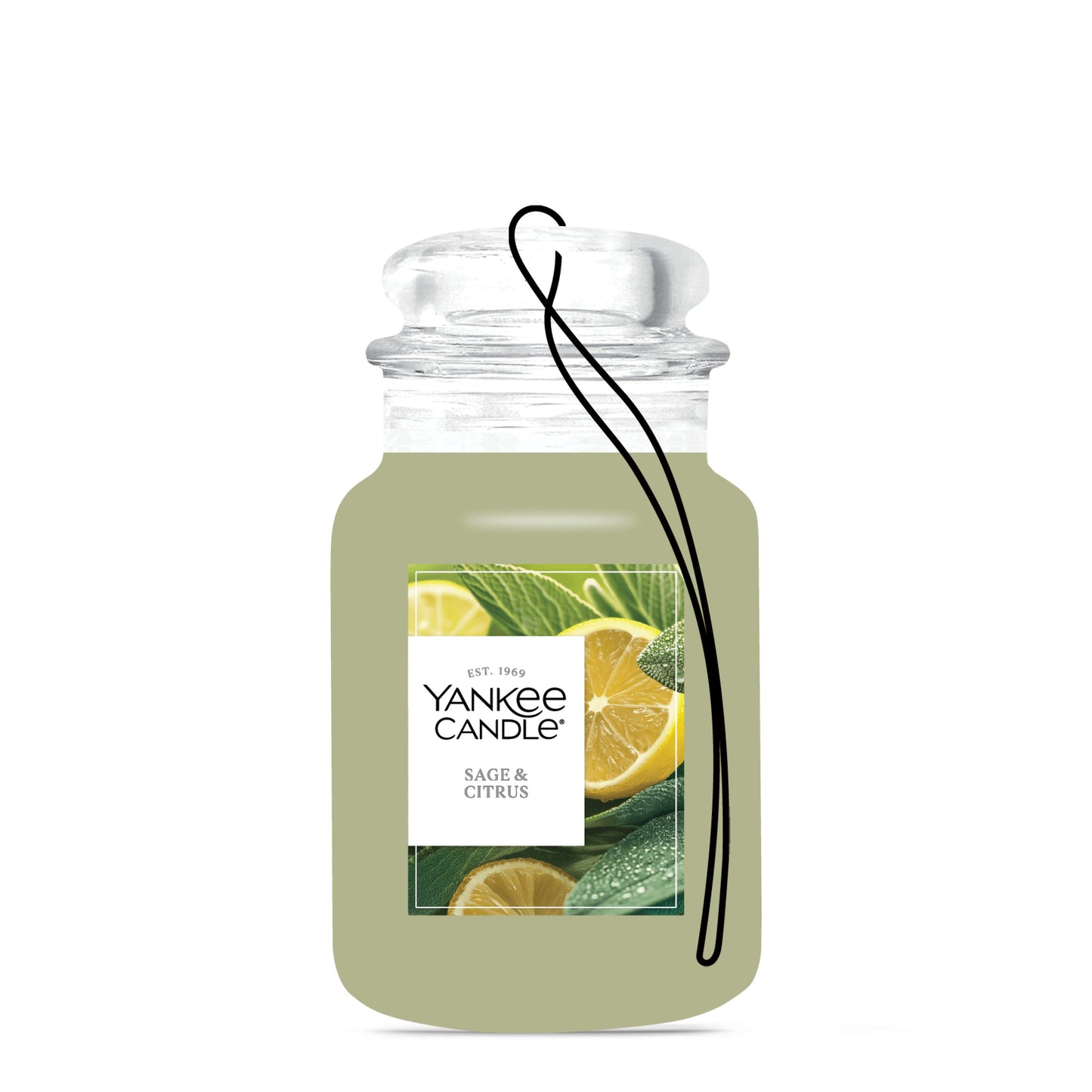 Sage & Citrus Daily 4-0854