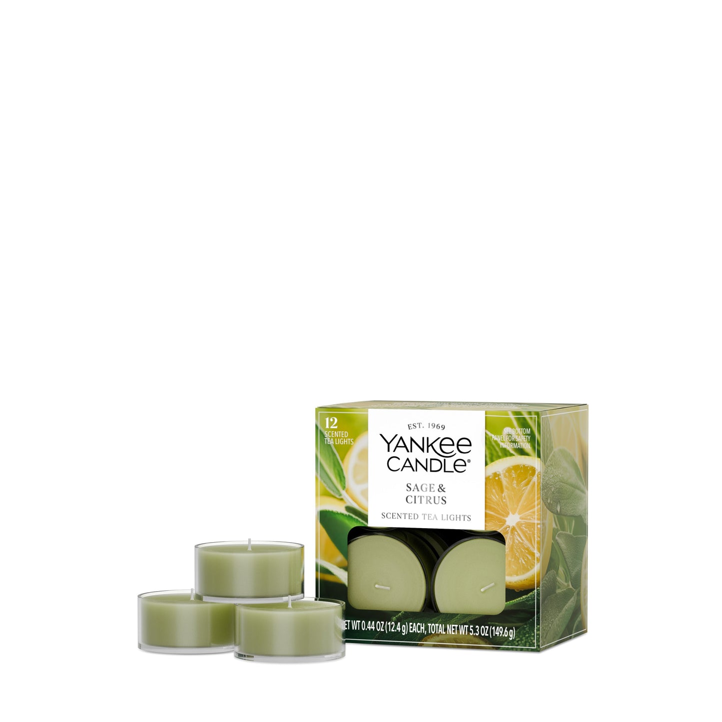 Sage & Citrus Studio 4-0662