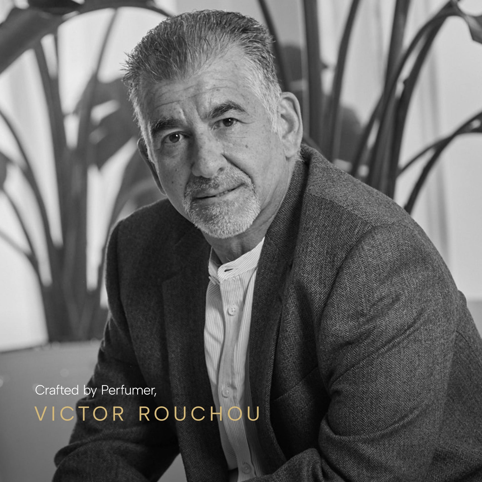 Dolce