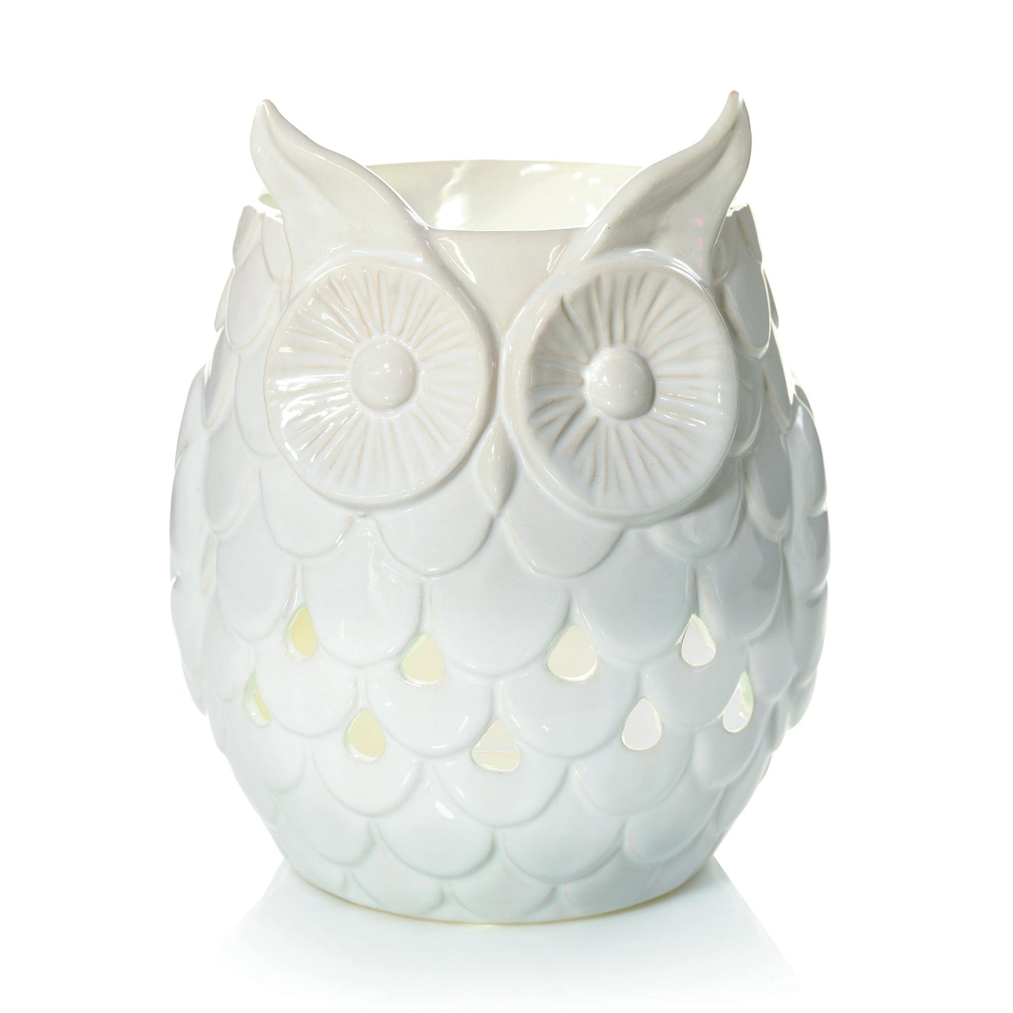 Owl (S2GD4)