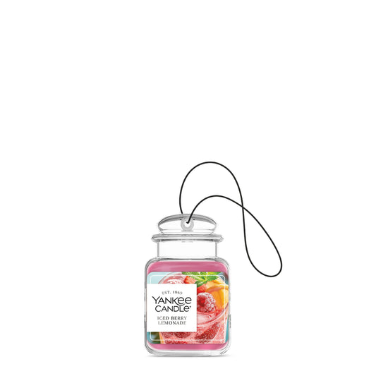Iced Berry Lemonade (S2RQF)