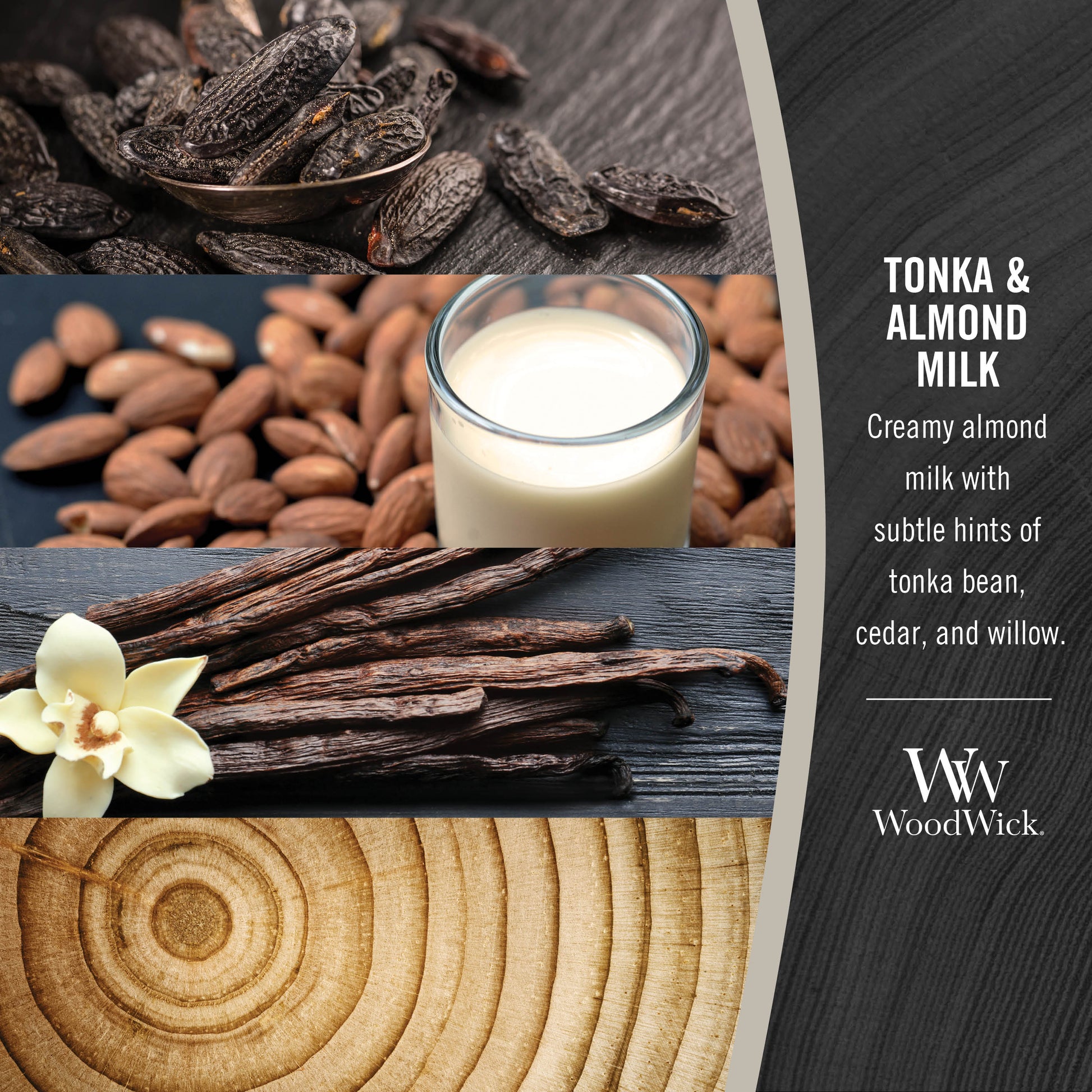 photo collage for woodwick tonka and almond milk fragrance with text that reads, creamy almond milk with subtle hints of tonka bean, cedar, and willow