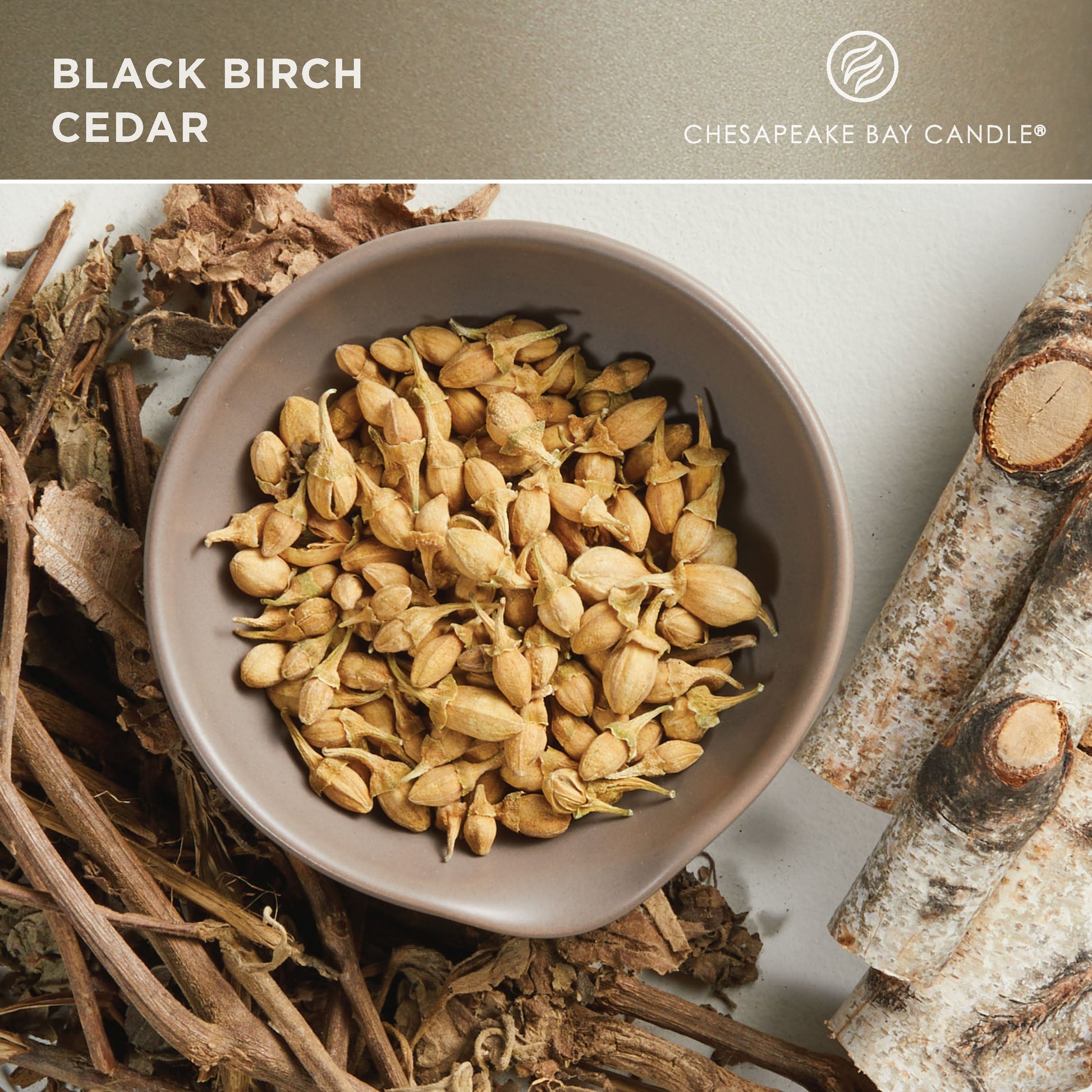 chesapeake bay candle black birch cedar fragrance in 2D