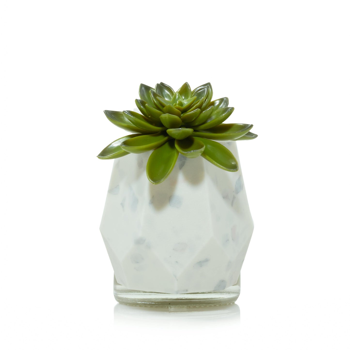 Faceted Succulent ScentPlug® Diffuser with Light (S22ZX)