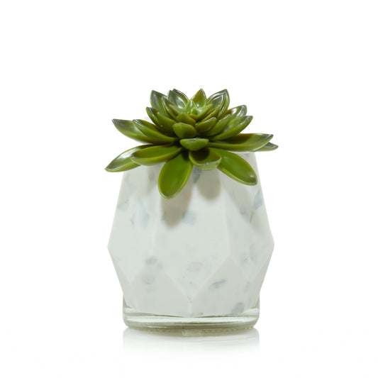 Faceted Succulent ScentPlug® Diffuser with Light (S22ZX)