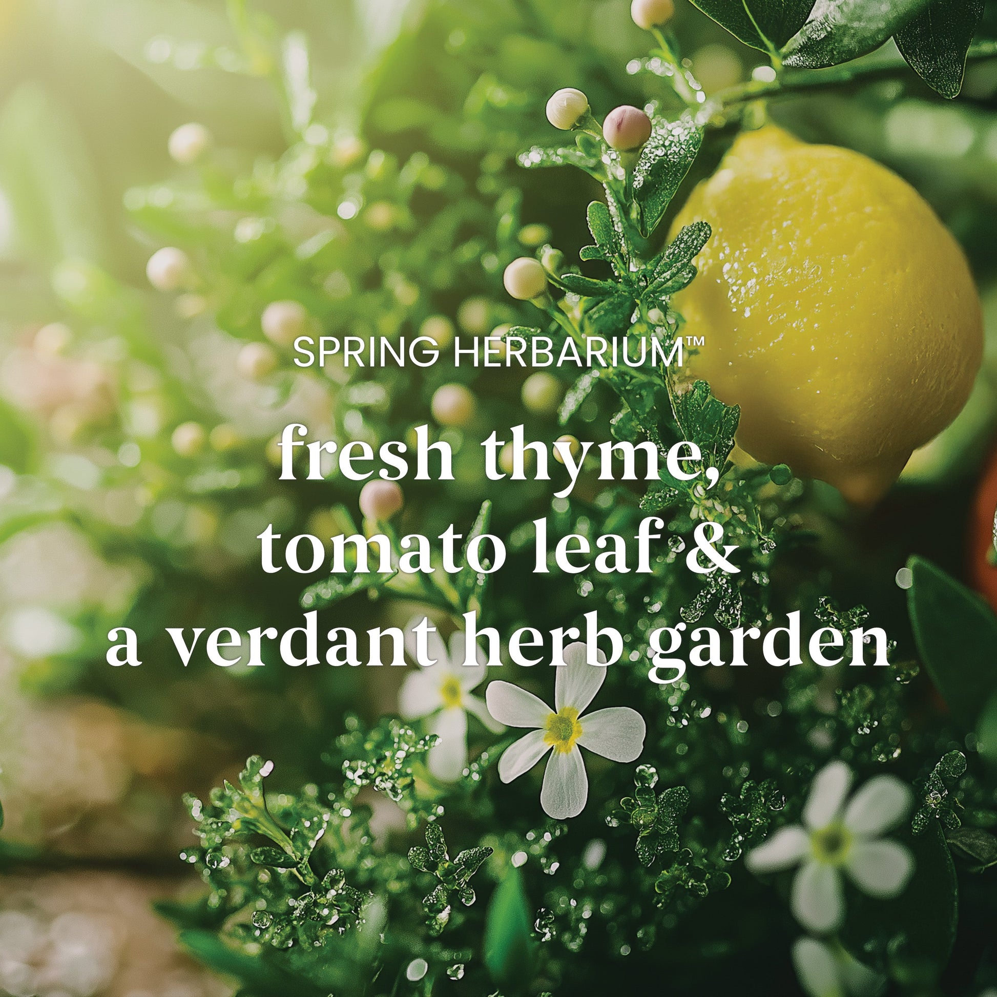 Spring Herbarium